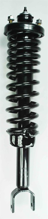 1336318 Suspension Strut and Coil Spring Assembly