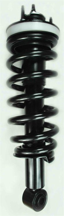 1336349 Suspension Strut and Coil Spring Assembly