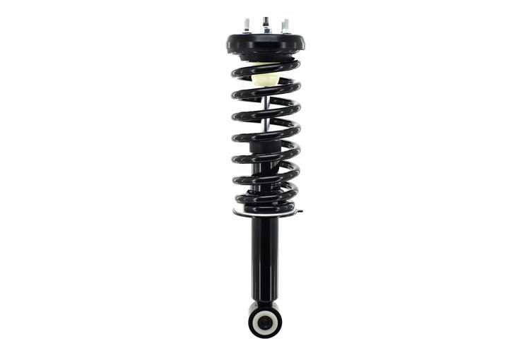 1345454 Suspension Strut and Coil Spring Assembly