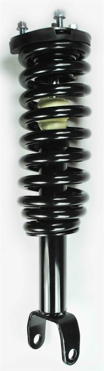 1345556 Suspension Strut and Coil Spring Assembly