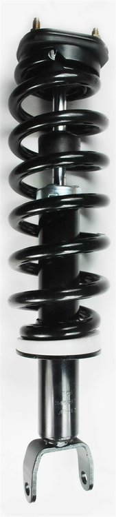 1345567 Suspension Strut and Coil Spring Assembly