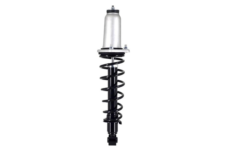 1345596R Suspension Strut and Coil Spring Assembly