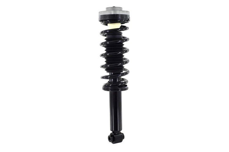 1345754 Suspension Strut and Coil Spring Assembly