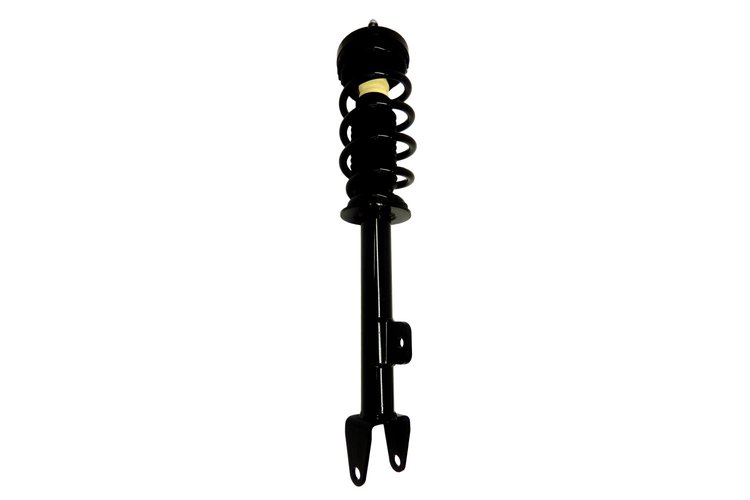 1345791 Suspension Strut and Coil Spring Assembly