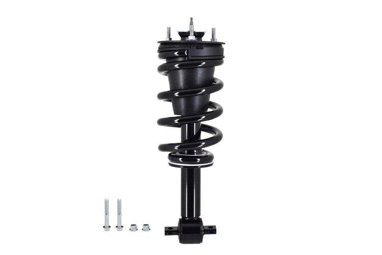1345815 Suspension Strut and Coil Spring Assembly