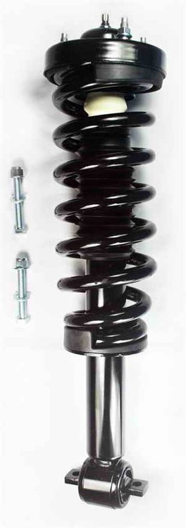1345816L Suspension Strut and Coil Spring Assembly