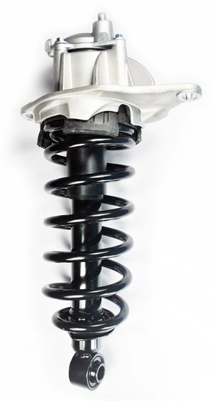 1345823L Suspension Strut and Coil Spring Assembly