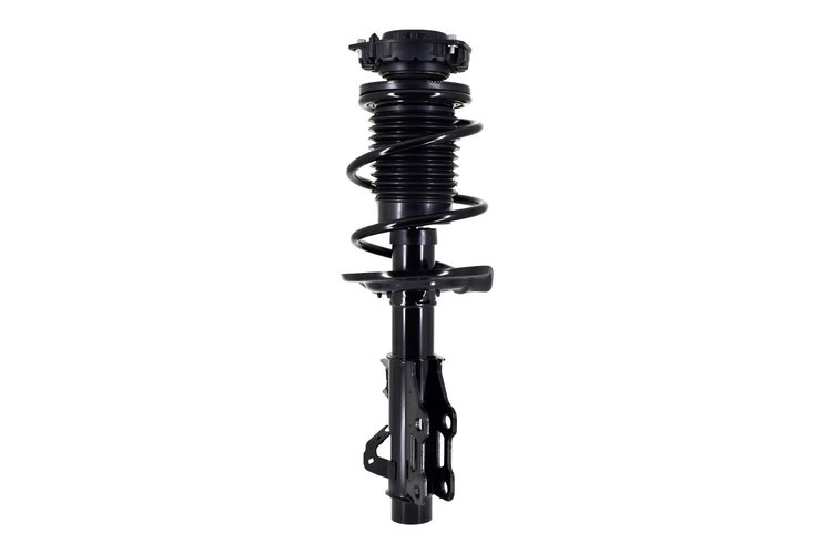 2333842L Suspension Strut and Coil Spring Assembly