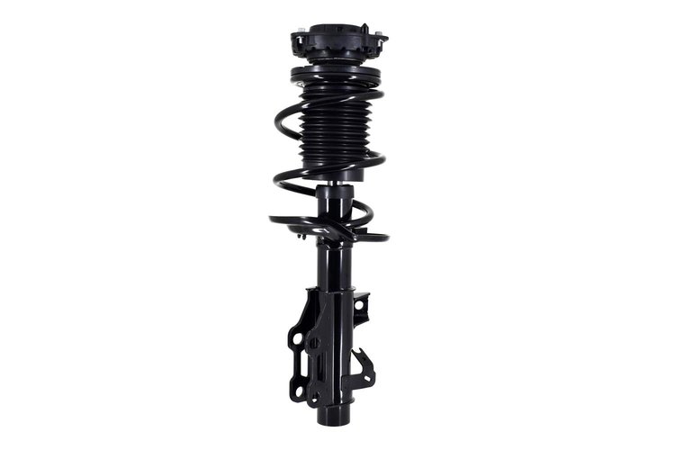 2333842R Suspension Strut and Coil Spring Assembly