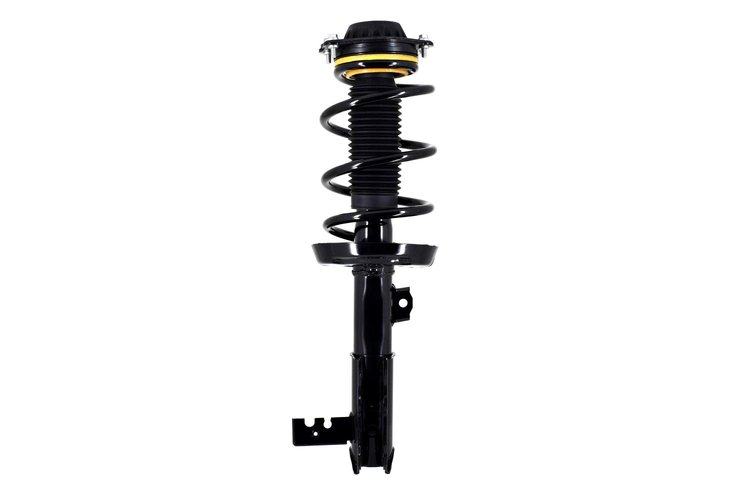 2333987L Suspension Strut and Coil Spring Assembly