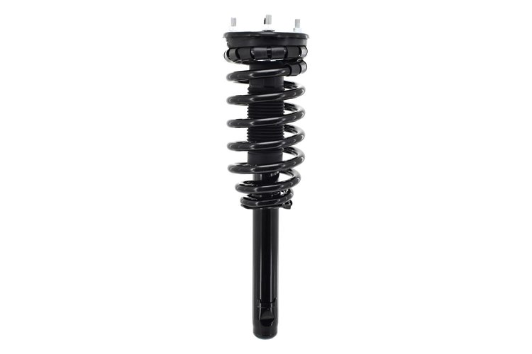 2335556 Suspension Strut and Coil Spring Assembly