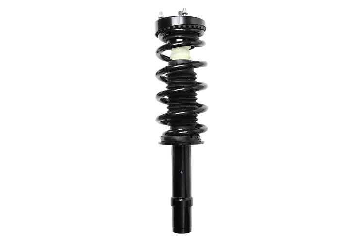 2335895L Suspension Strut and Coil Spring Assembly