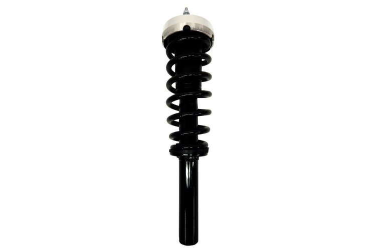 2335906 Suspension Strut and Coil Spring Assembly