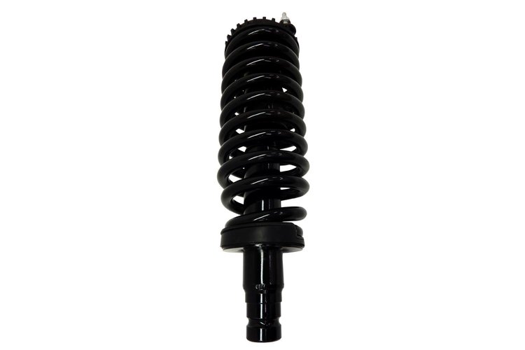2336324 Suspension Strut and Coil Spring Assembly
