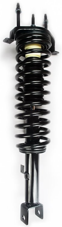 2336338 Suspension Strut and Coil Spring Assembly
