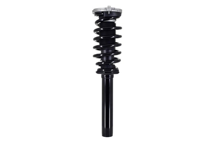 2337097 Suspension Strut and Coil Spring Assembly