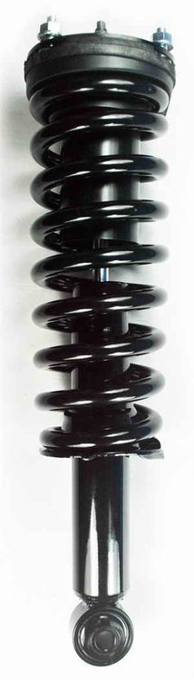 2345455 Suspension Strut and Coil Spring Assembly