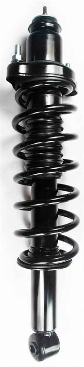2345484 Suspension Strut and Coil Spring Assembly