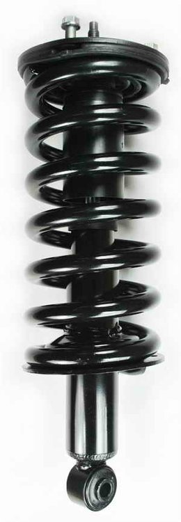 2345497 Suspension Strut and Coil Spring Assembly