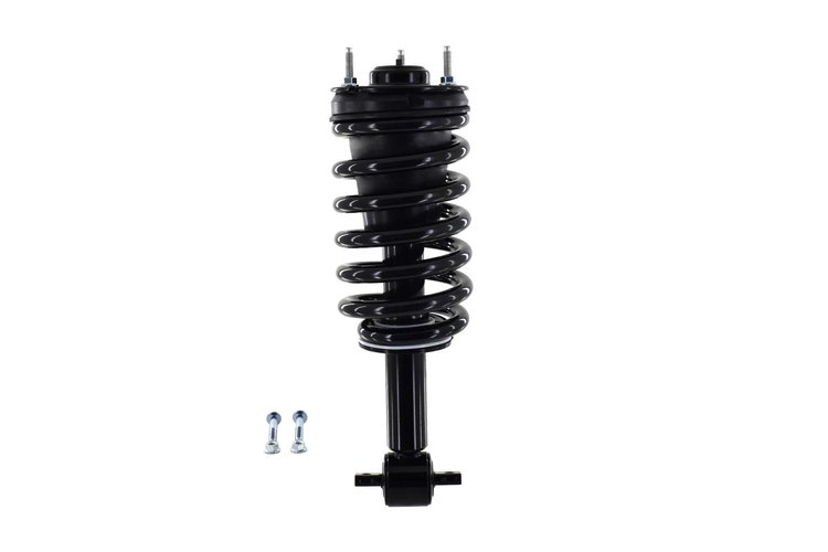 2345555 Suspension Strut and Coil Spring Assembly