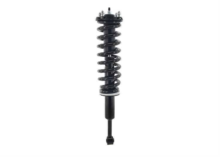 2345558L Suspension Strut and Coil Spring Assembly
