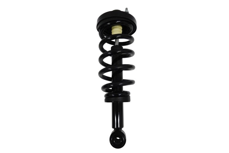 2345561 Suspension Strut and Coil Spring Assembly