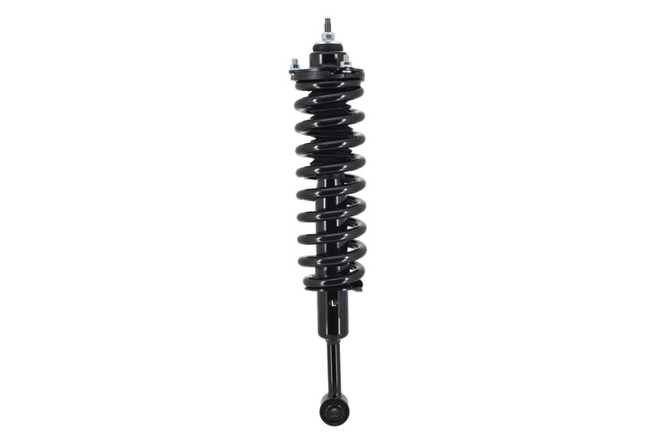 2345566L Suspension Strut and Coil Spring Assembly