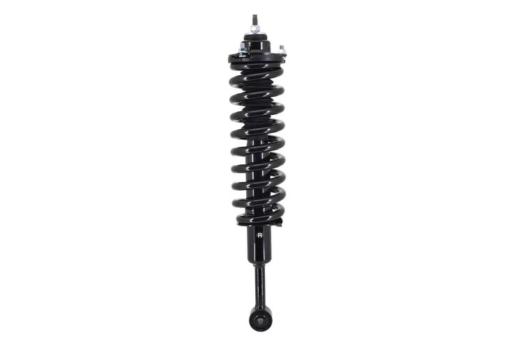 2345566R Suspension Strut and Coil Spring Assembly