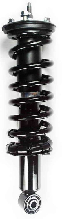 2345682 Suspension Strut and Coil Spring Assembly