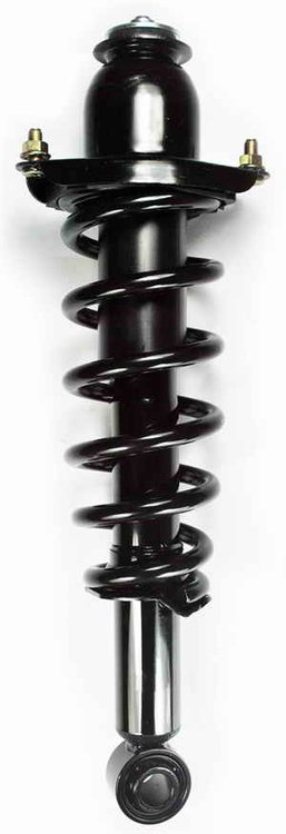 2345742R Suspension Strut and Coil Spring Assembly