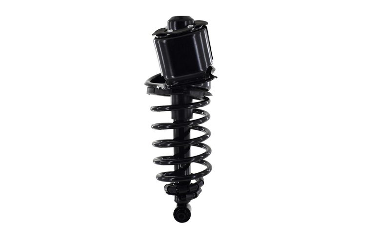 2345782L Suspension Strut and Coil Spring Assembly