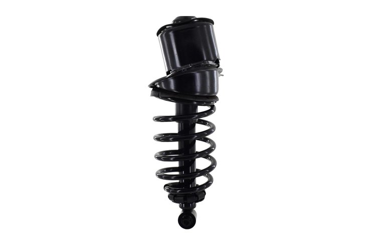 2345782R Suspension Strut and Coil Spring Assembly