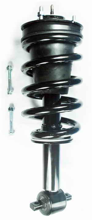 2345815 Suspension Strut and Coil Spring Assembly