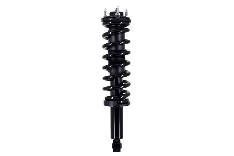 2345881 Suspension Strut and Coil Spring Assembly