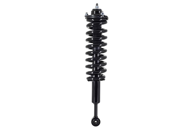 2355017L Suspension Strut and Coil Spring Assembly