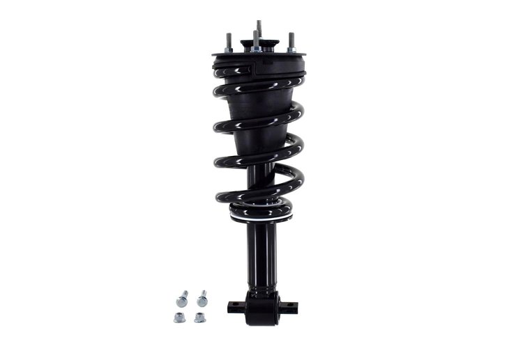2355037 Suspension Strut and Coil Spring Assembly