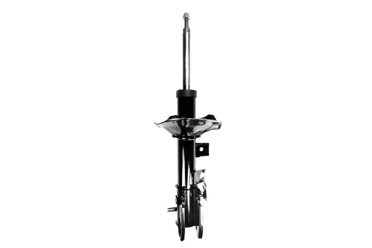 331644L Suspension Strut Assembly