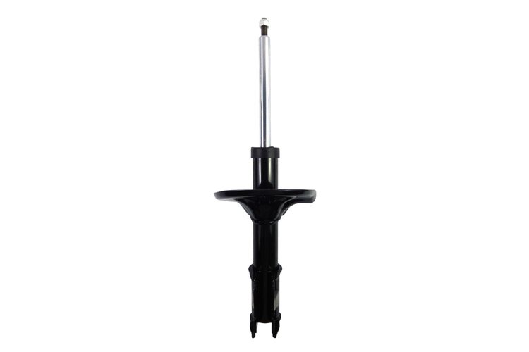 331666 Suspension Strut Assembly