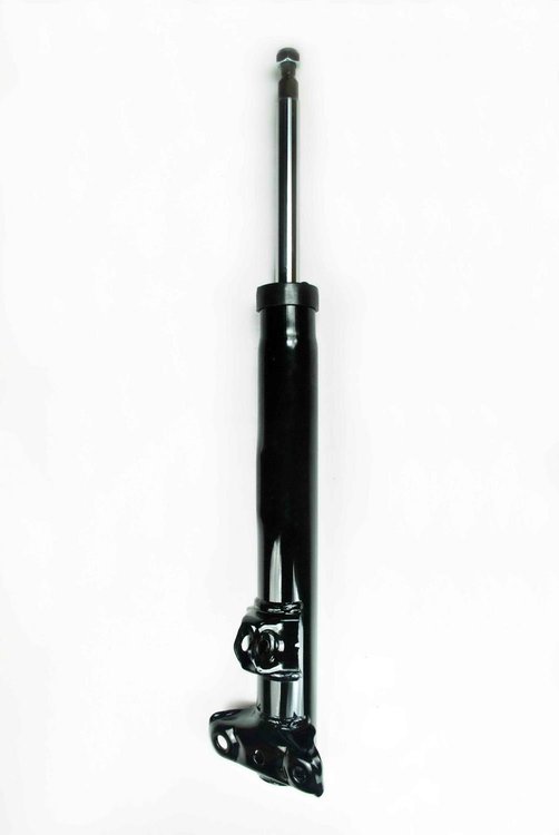 331698 Suspension Strut Assembly