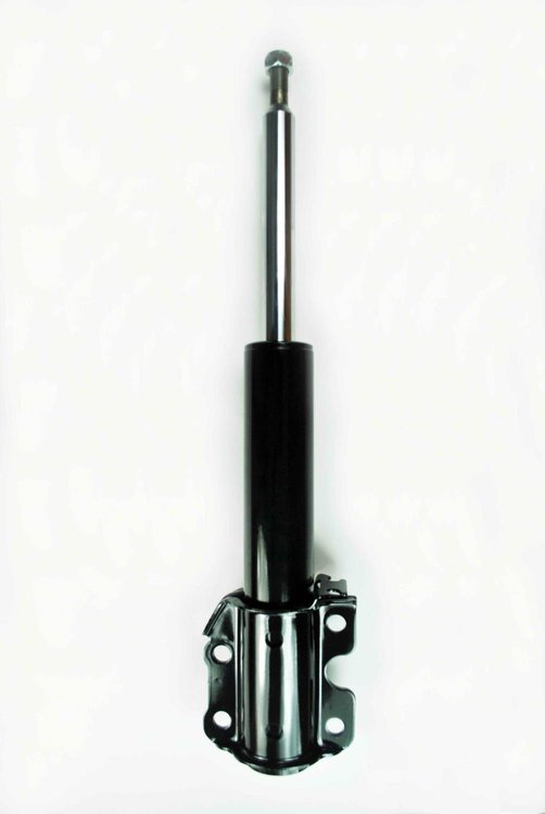 331699 Suspension Strut Assembly