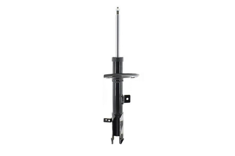 331789L Suspension Strut Assembly