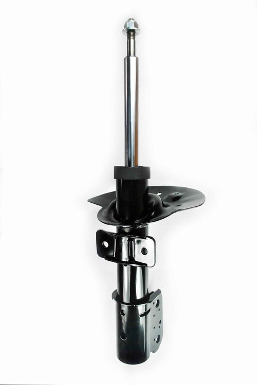 331818 Suspension Strut Assembly