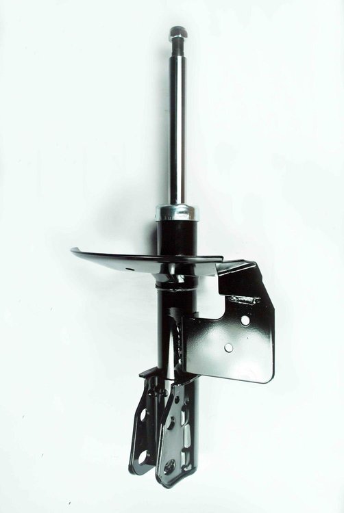 333297 Suspension Strut Assembly