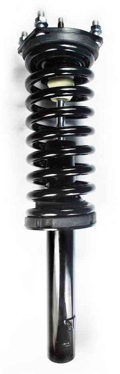 3335582R Suspension Strut and Coil Spring Assembly