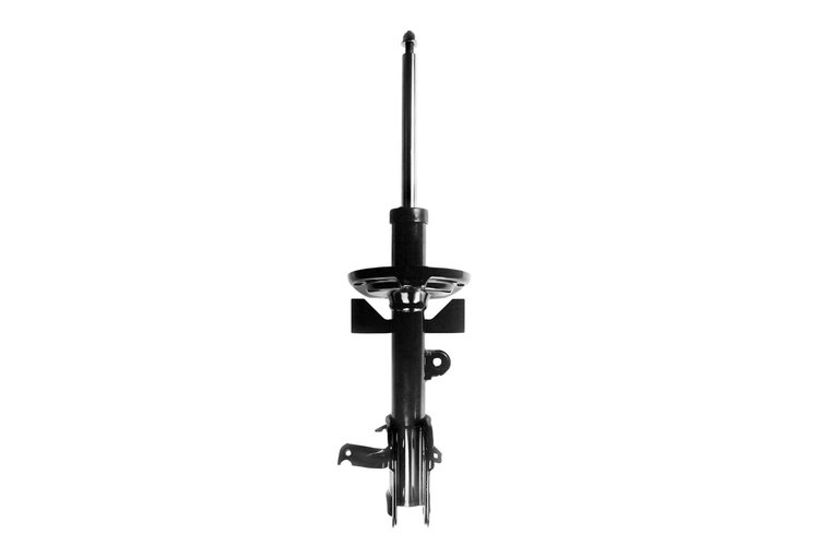 333569L Suspension Strut Assembly