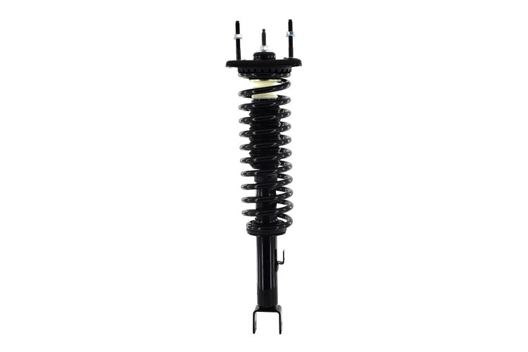3336338 Suspension Strut and Coil Spring Assembly