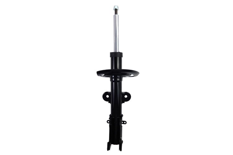 333703 Suspension Strut Assembly