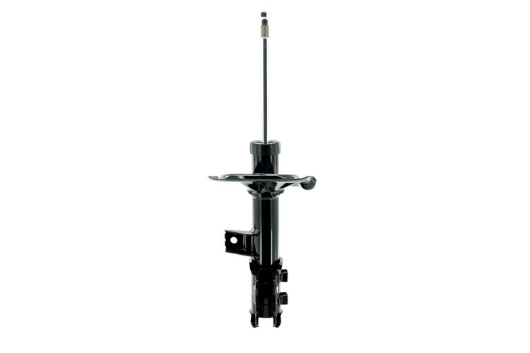 333813R Suspension Strut Assembly