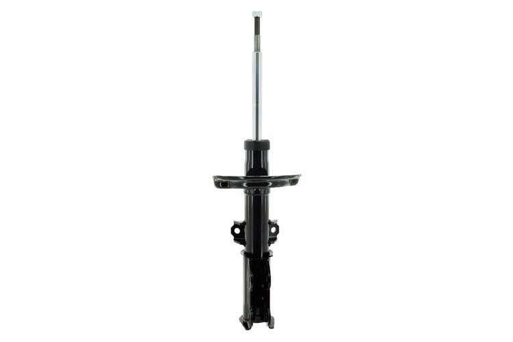333839 Suspension Strut Assembly