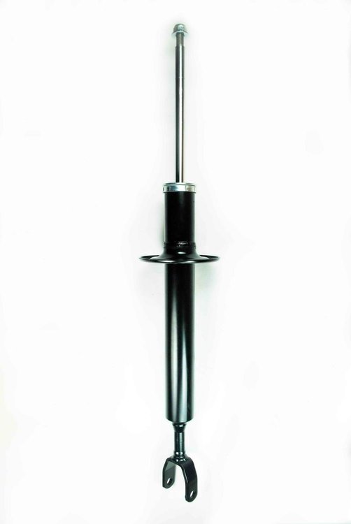 335524 Suspension Strut Assembly